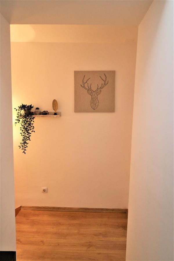 Cozy Old Town Apartment - Free Minibar Bucharest Luaran gambar